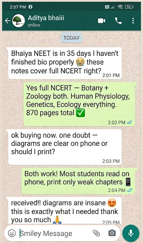 WhatsApp review